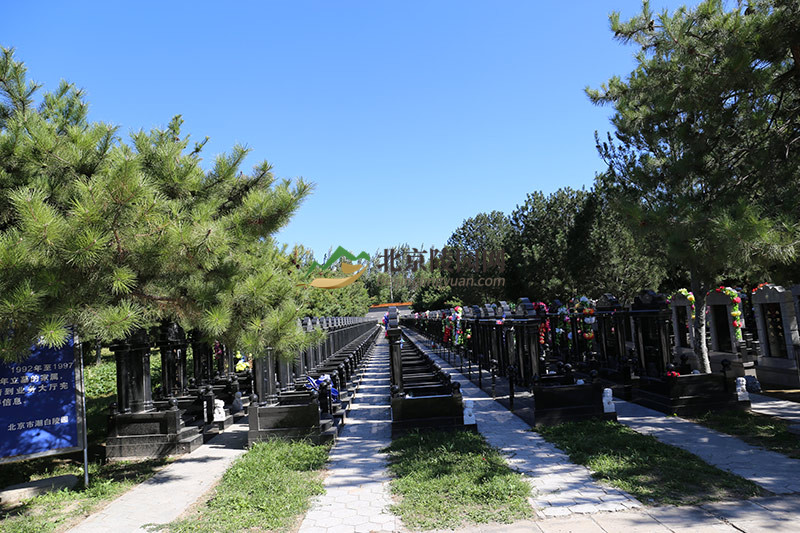 潮白陵园墓区环境 潮白陵园墓区环境