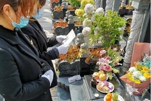 代祭扫服务 代祭扫服务