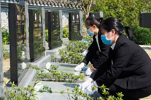 代客祭扫服务 代客祭扫服务